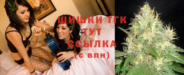 ПСИЛОЦИБИНОВЫЕ ГРИБЫ Армянск