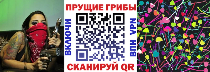 Псилоцибиновые грибы GOLDEN TEACHER  Реж 